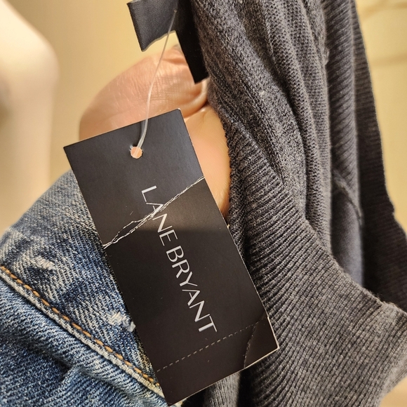 Lane Bryant Women's Mock Neck Gray Sweater with Blue Accents Plus Size 26/28 - Picture 7 of 12